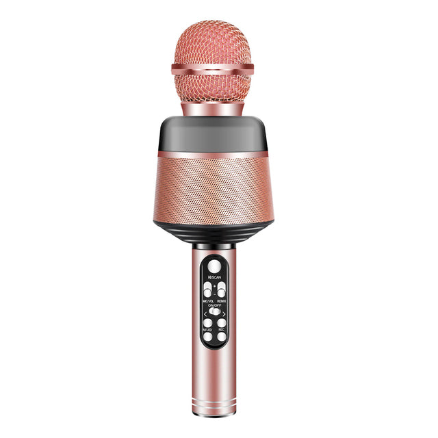 Karaoke Microphone for KTV Birthday Party