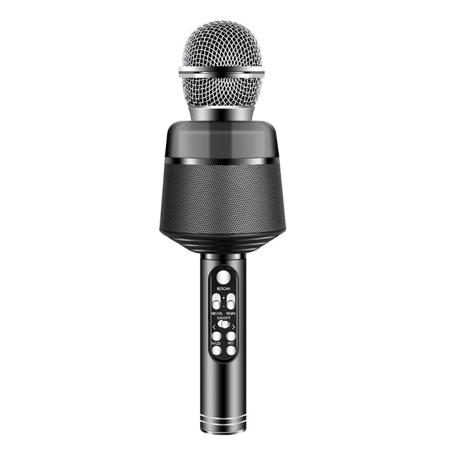 Karaoke Microphone for KTV Birthday Party