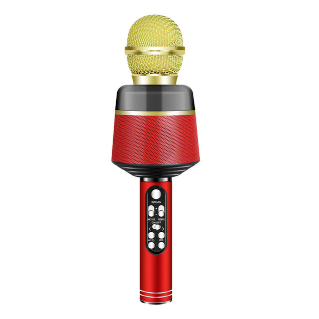 Karaoke Microphone for KTV Birthday Party