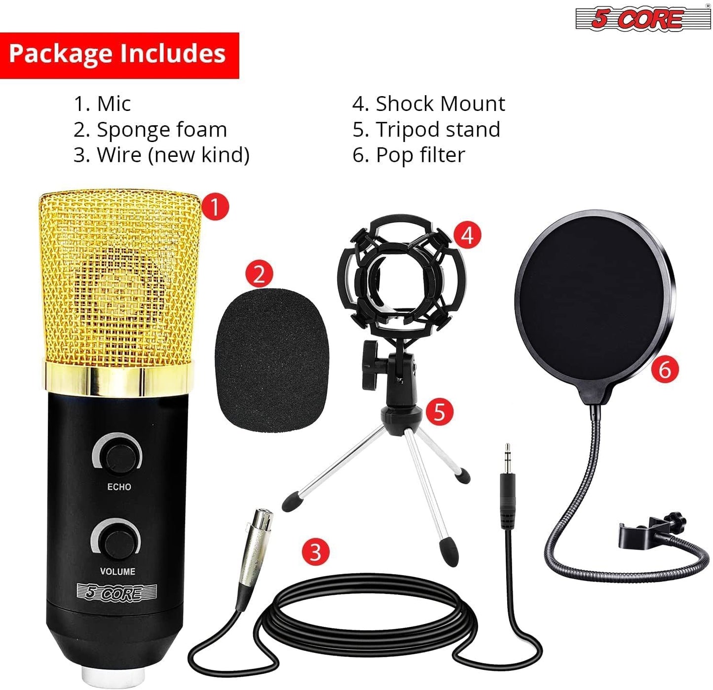 5 CORE XLR Microphone Condenser Mic w/Microphone ARM for Computer Gaming; Podcast; Tripod Stand Kit for Streaming; Recording; Vocals; Voice; Cardioids Studio Microphone RM 7 BG